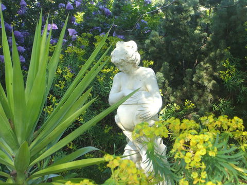 Archery Road Estate - Yamba Accommodation 17