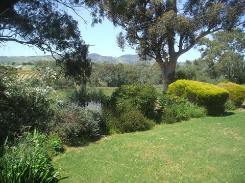 Archery Road Estate - Yamba Accommodation 9