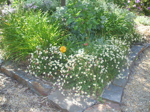 Archery Road Estate - Yamba Accommodation 15