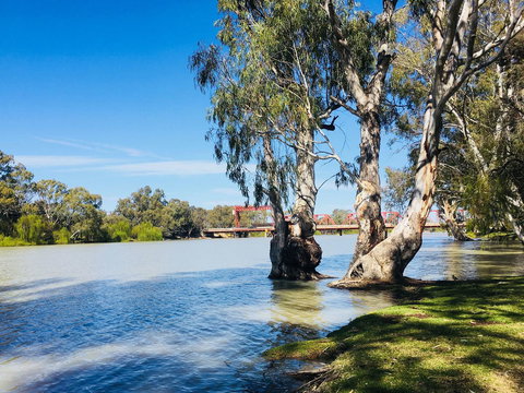 Echo Holiday Parks - Renmark - Yamba Accommodation 5