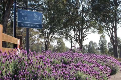 Beltana Villas - Yamba Accommodation 10