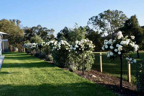 Beltana Villas - Yamba Accommodation 2