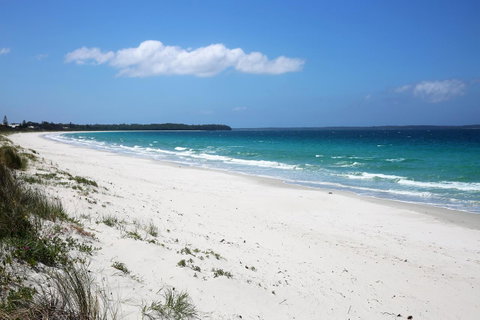 Wildwood I Pet Friendly I 5 Mins To Beach - Yamba Accommodation 14