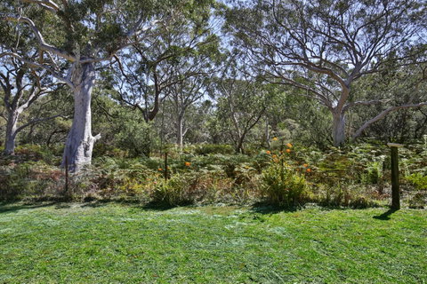 Wildwood I Pet Friendly I 5 Mins To Beach - Yamba Accommodation 17