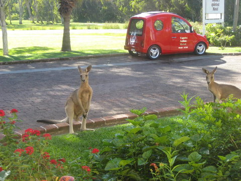 Aston Motel Yamba - Yamba Accommodation 6