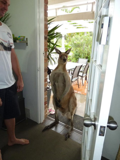 Aston Motel Yamba - Yamba Accommodation 10