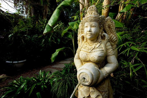 The Lotus Eater - Yamba Accommodation 18