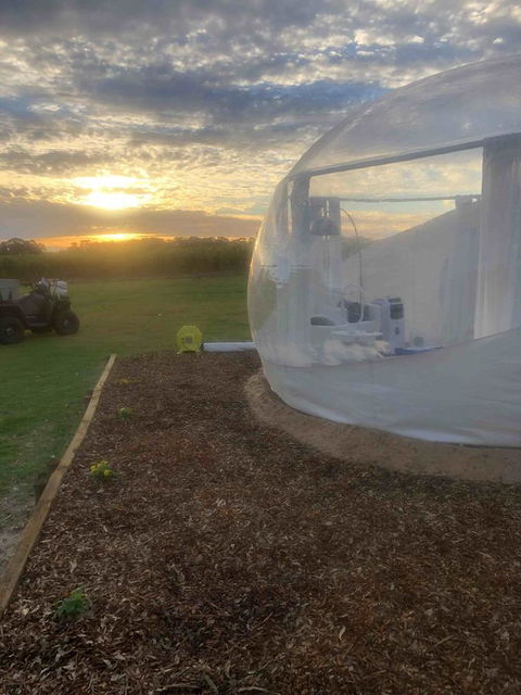 Coonawarra Bubble Tents - Yamba Accommodation 6