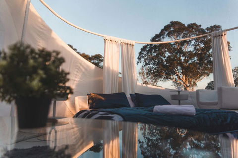 Coonawarra Bubble Tents - Yamba Accommodation 12