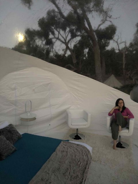 Coonawarra Bubble Tents - Yamba Accommodation 1