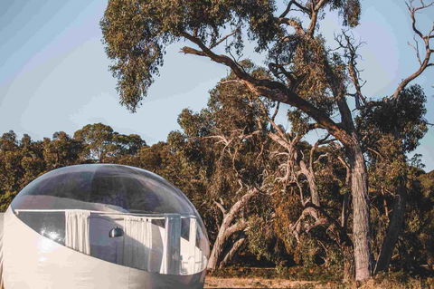 Coonawarra Bubble Tents - Yamba Accommodation 10
