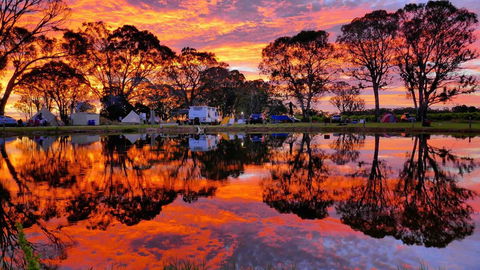 Coonawarra Bubble Tents - Yamba Accommodation 3