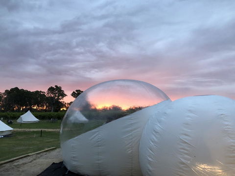 Coonawarra Bubble Tents - Yamba Accommodation 4