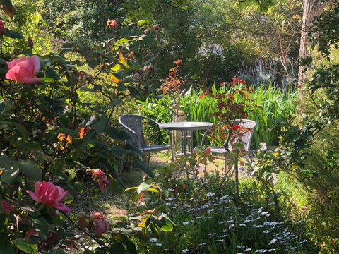 Treasured Memories Cottage - Yamba Accommodation 17