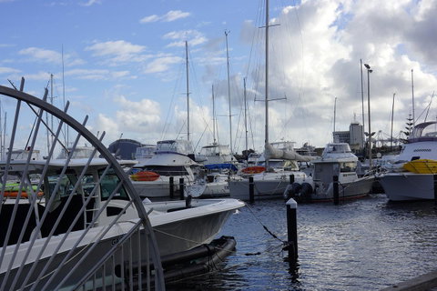Oceanside 23 - Yamba Accommodation 24
