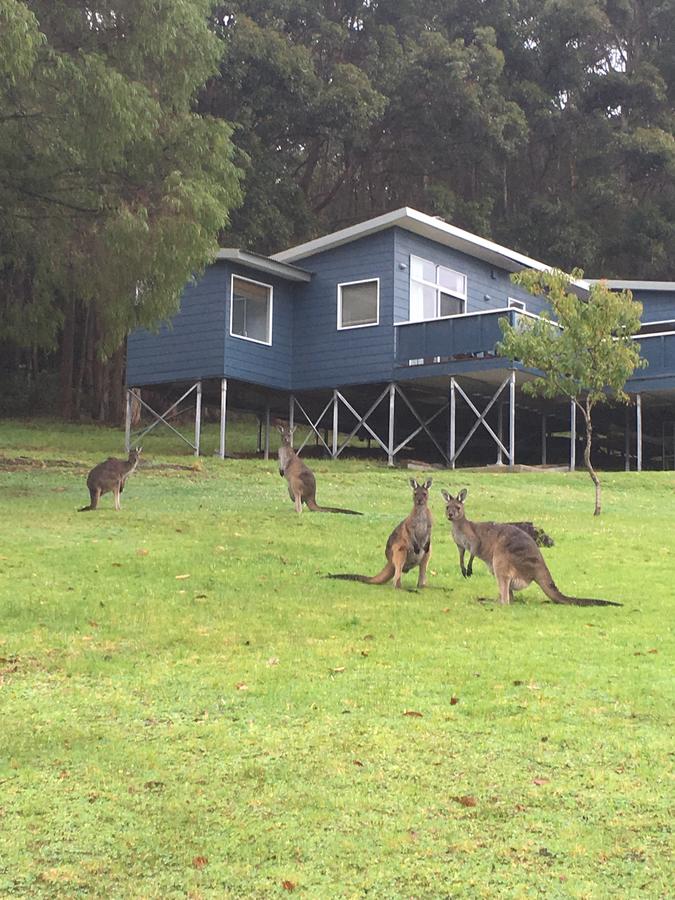 Mount Romance WA Yamba Accommodation