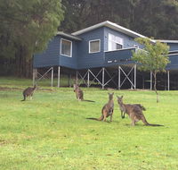 Blue House Denmark - Yamba Accommodation