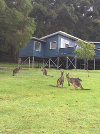 Book Denmark Accommodation Vacations Yamba Accommodation Yamba Accommodation