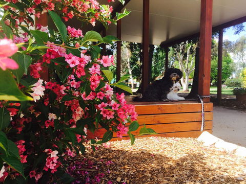 Armidale Tourist Park - Yamba Accommodation 34