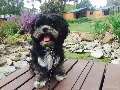 Armidale Tourist Park - Yamba Accommodation 32