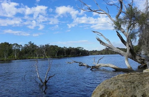 Ascot Comfort - Yamba Accommodation 23