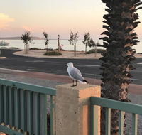 Shark Bay Seafront Apartments - Yamba Accommodation