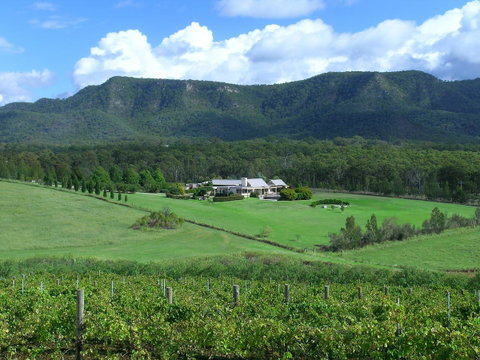 Grapevines Boutique Accommodation - Yamba Accommodation 23
