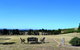 Grapevines Boutique Accommodation - thumb 18