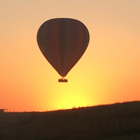 Grapevines Boutique Accommodation - Yamba Accommodation 13