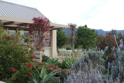 Grapevines Boutique Accommodation - Yamba Accommodation 28