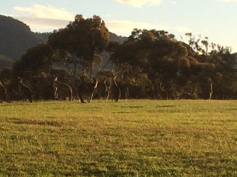 Grapevines Boutique Accommodation - Yamba Accommodation 26