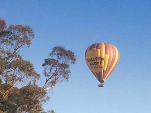 Grapevines Boutique Accommodation - Yamba Accommodation 12