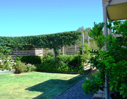 Grapevines Boutique Accommodation - Yamba Accommodation 14