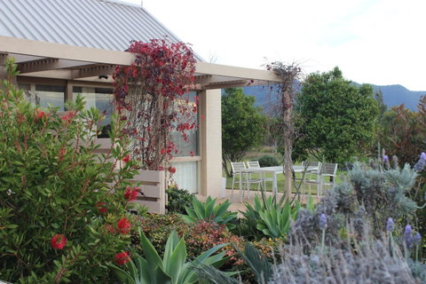 Grapevines Boutique Accommodation - Yamba Accommodation 24
