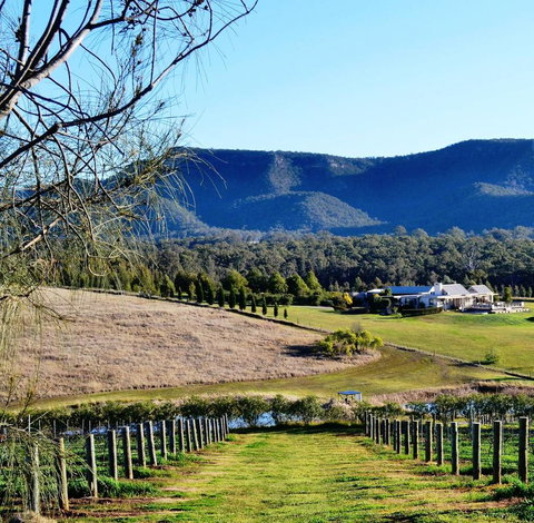 Grapevines Boutique Accommodation - Yamba Accommodation 5