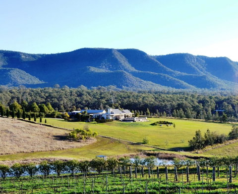 Grapevines Boutique Accommodation - Yamba Accommodation 0