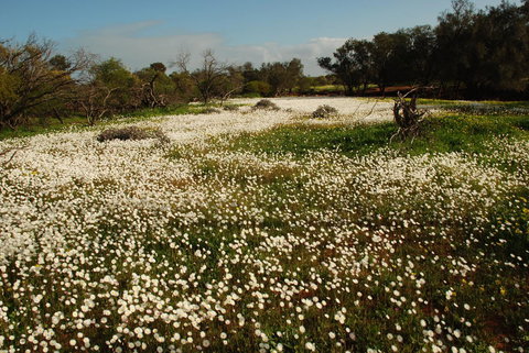 Kalbarri Seafront Villas - Yamba Accommodation 35