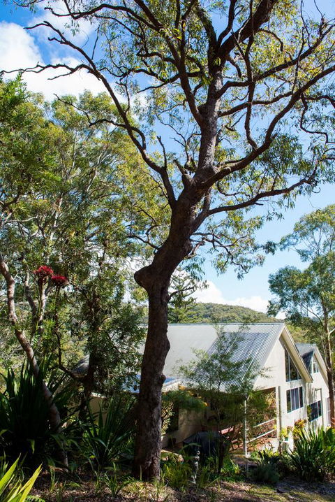 Nelson Bay Bed & Breakfast - Yamba Accommodation 42