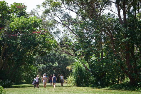 Ingenia Holidays Byron Bay - Yamba Accommodation 11