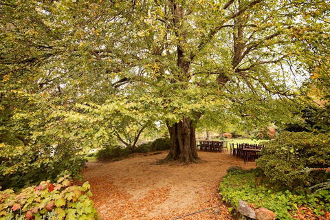 Nesuto Leura Gardens (formerly Waldorf Leura Gardens Resort) - Yamba Accommodation 1
