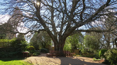 Nesuto Leura Gardens (formerly Waldorf Leura Gardens Resort) - Yamba Accommodation 3