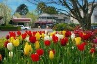 Book Leura Accommodation Vacations Yamba Accommodation Yamba Accommodation