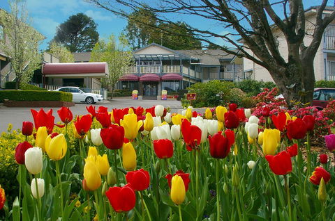 Nesuto Leura Gardens (formerly Waldorf Leura Gardens Resort) - Yamba Accommodation 0