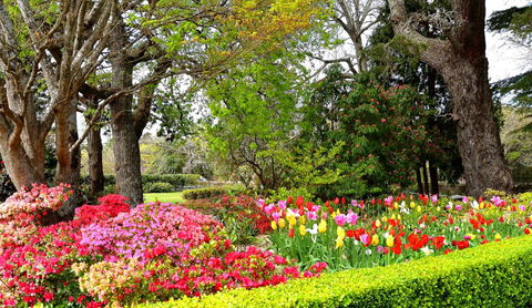 Nesuto Leura Gardens (formerly Waldorf Leura Gardens Resort) - Yamba Accommodation 8