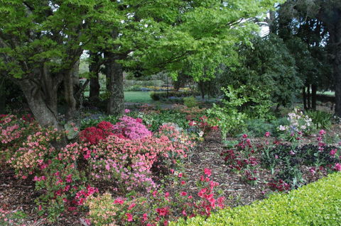 Nesuto Leura Gardens (formerly Waldorf Leura Gardens Resort) - Yamba Accommodation 2