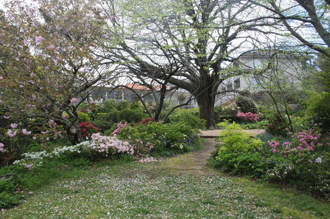 Nesuto Leura Gardens (formerly Waldorf Leura Gardens Resort) - Yamba Accommodation 4