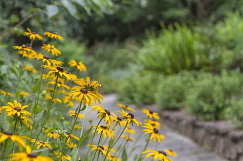 Nesuto Leura Gardens (formerly Waldorf Leura Gardens Resort) - Yamba Accommodation 16