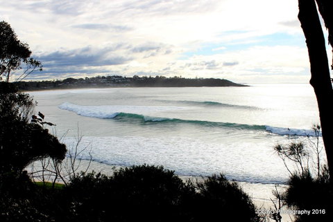 Mollymook Cove Apartments - Yamba Accommodation 2