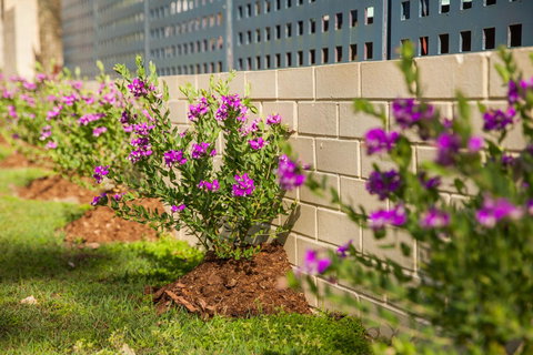 Kempsey Rose Motor Inn - Yamba Accommodation 15