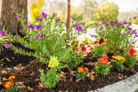 Kempsey Rose Motor Inn - Yamba Accommodation 28